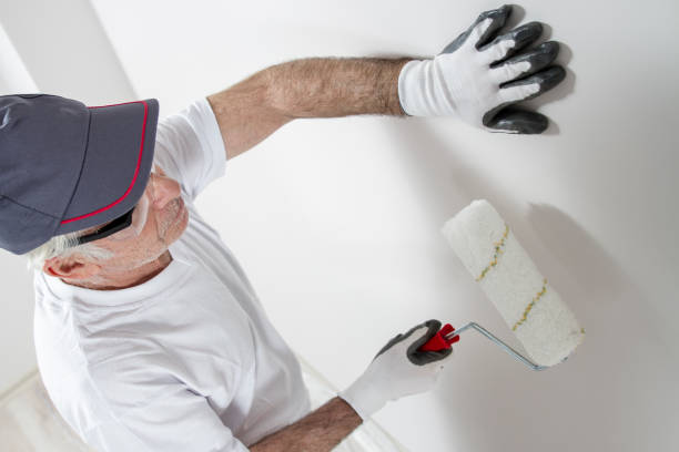 Best Drywall Crack Repair  in Pardeeville, WI