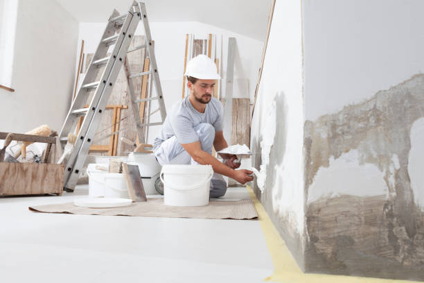 Best Drywall Installation  in Pardeeville, WI