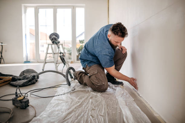 Best Water-Damaged Drywall Repair  in Pardeeville, WI